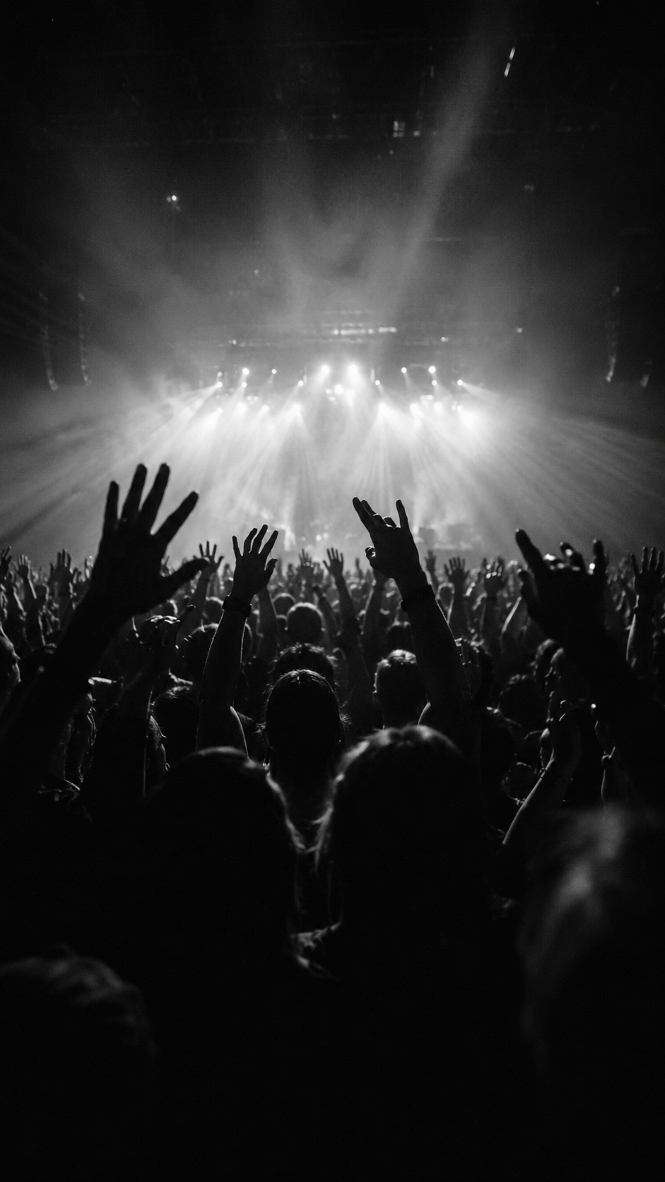 Concert audience illuminated by stage lights